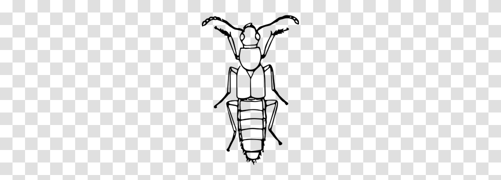 Egyptian Scarab Beetle Clip Art, Gray, World Of Warcraft Transparent Png