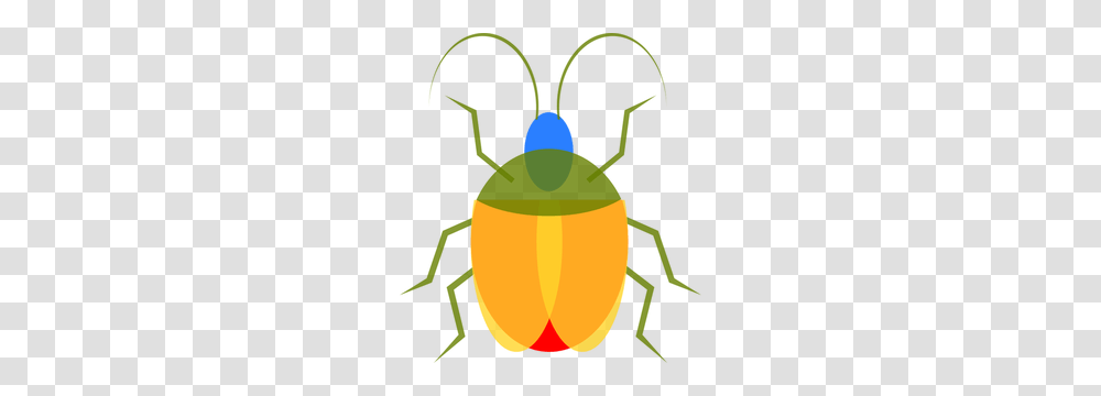 Egyptian Scarab Beetle Clip Art, Insect, Invertebrate, Animal, Cockroach Transparent Png