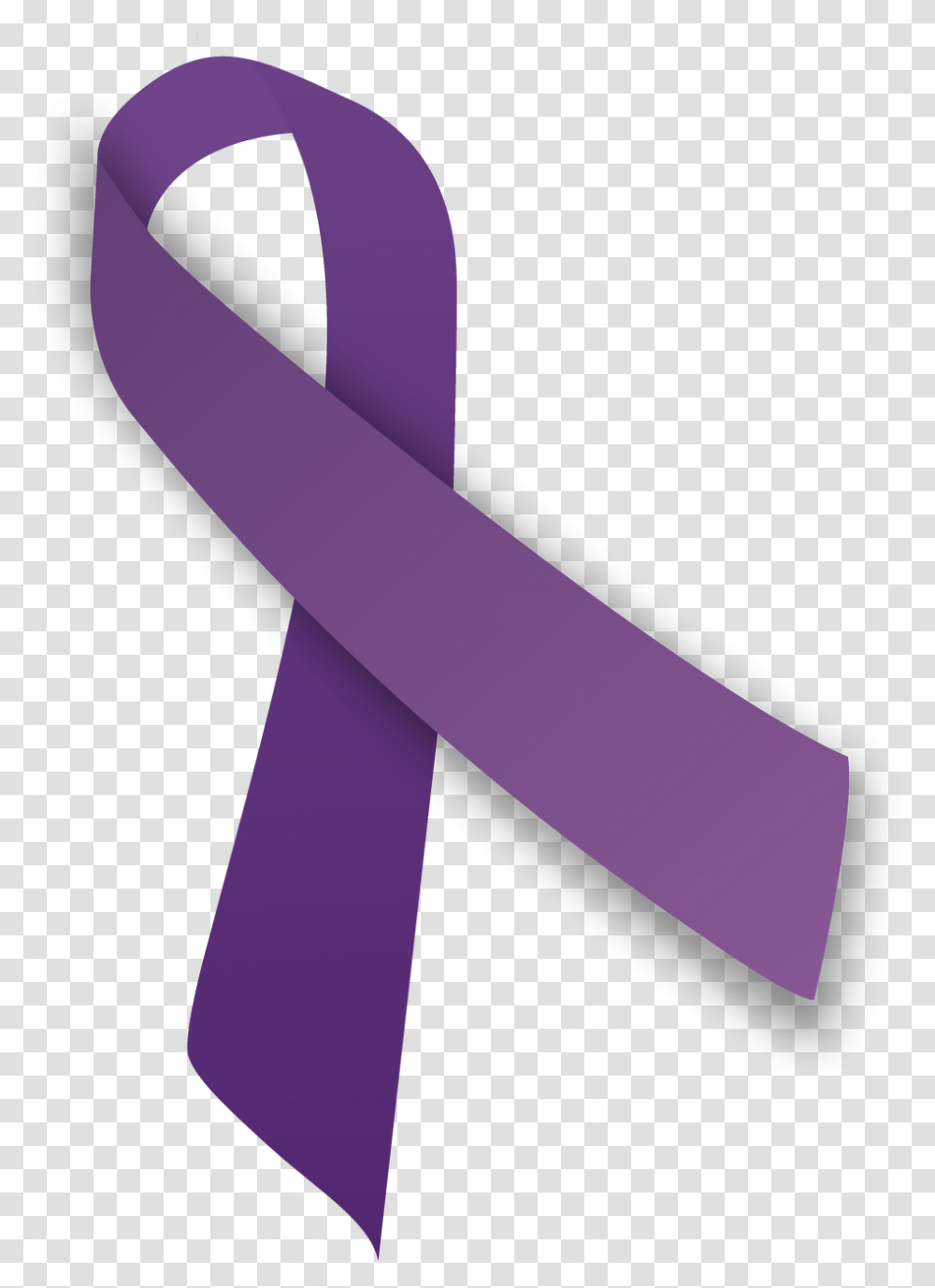 Ehealth In Pain Management And Patient Support Domestic Abuse Ribbon, Purple, Sash Transparent Png