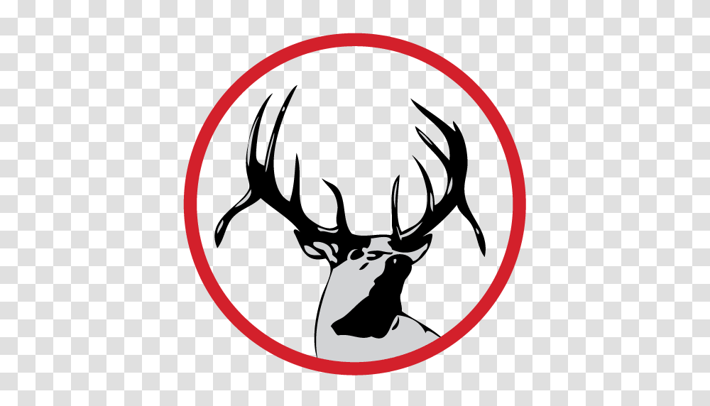 Ehs Cheer Tryouts Season Elkhorn High School, Deer, Wildlife, Mammal, Animal Transparent Png