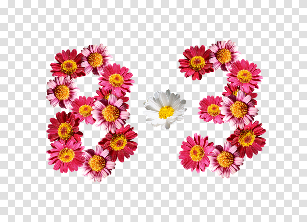 Eight Months Three 960, Flower, Floral Design, Pattern Transparent Png