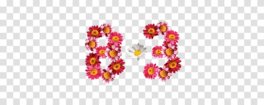 Eight Months Three Graphics, Floral Design, Pattern Transparent Png
