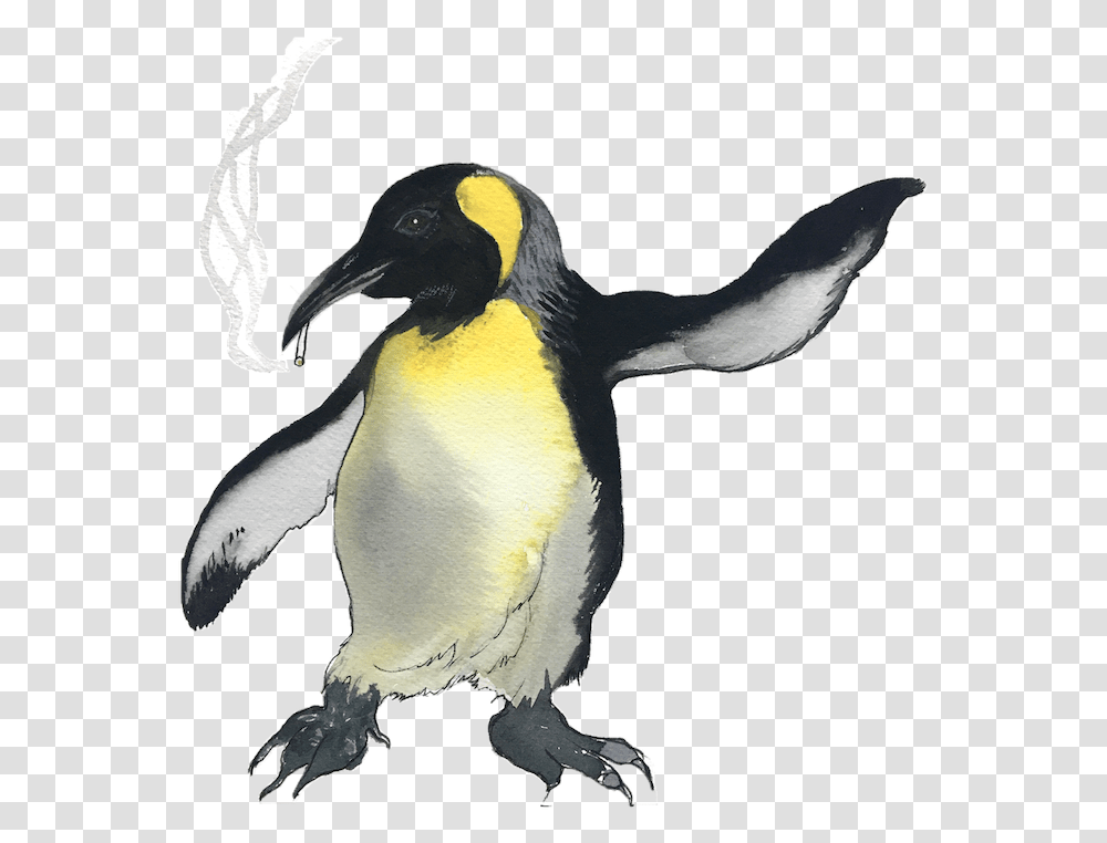 Eight New Species Of The Pandemic Tyee Emperor Penguin, Bird, Animal, King Penguin Transparent Png