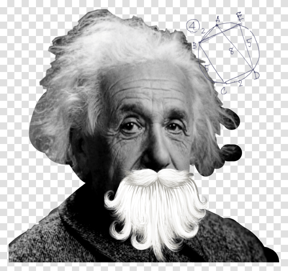 Einstein Albert Einstein, Face, Person, Human, Head Transparent Png