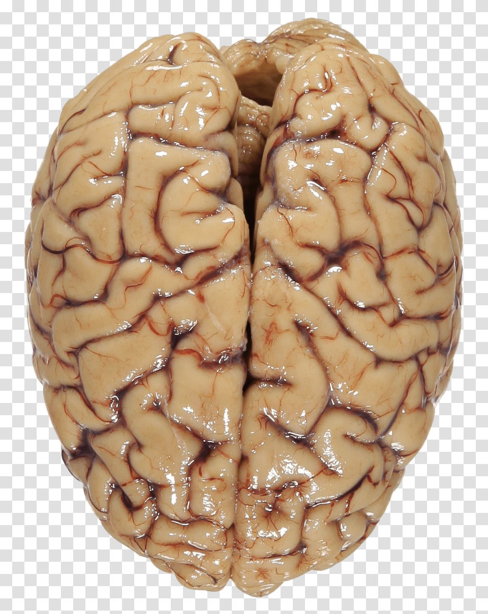 Einstein Brain, Dessert, Food, Caramel, Cookie Transparent Png