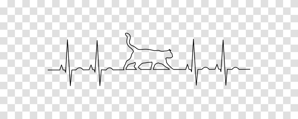 Ekg Technology, Gray, World Of Warcraft Transparent Png