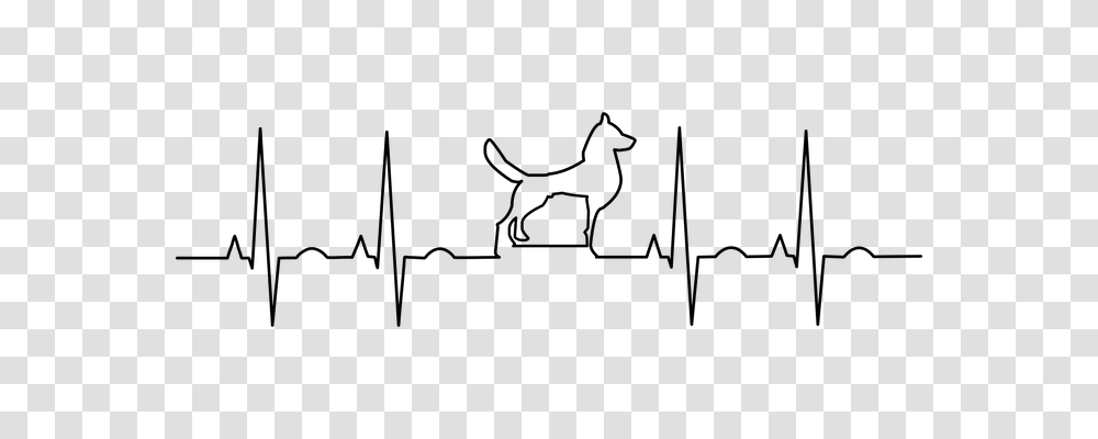 Ekg Technology, Gray, World Of Warcraft Transparent Png