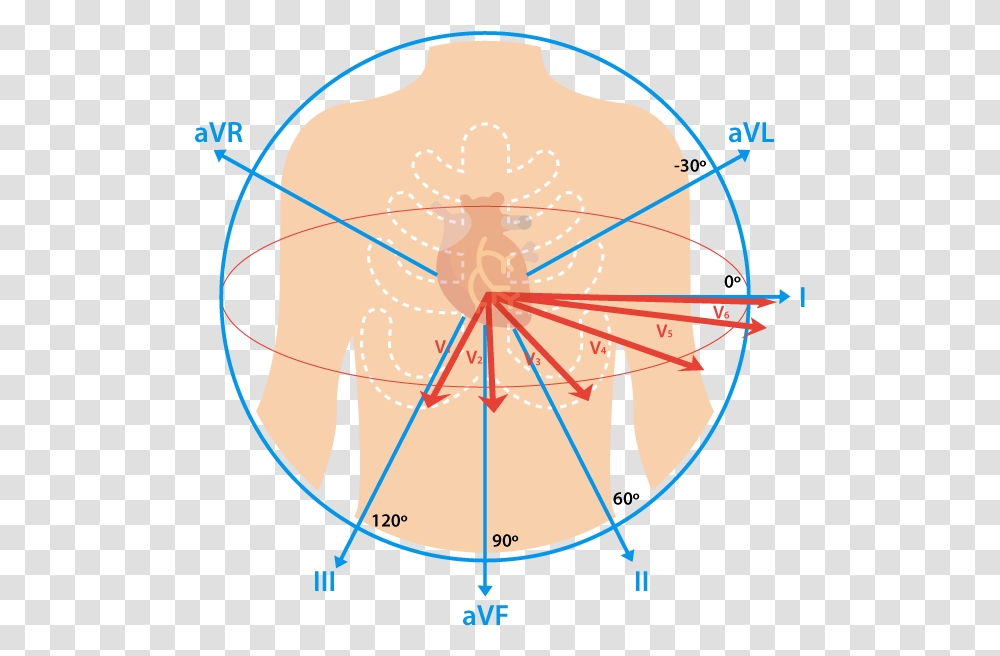 Ekg Lead, Clock Tower, Architecture, Building Transparent Png