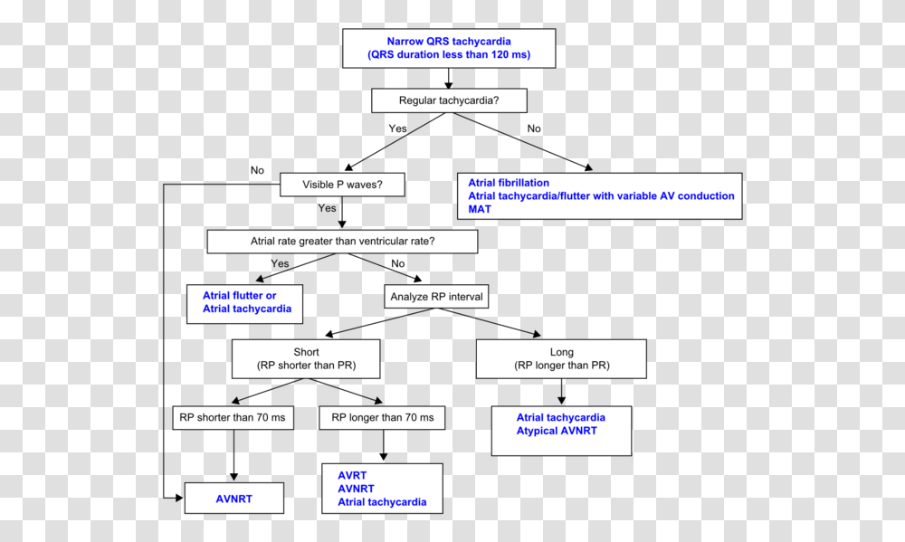 Ekg, Page, Number Transparent Png