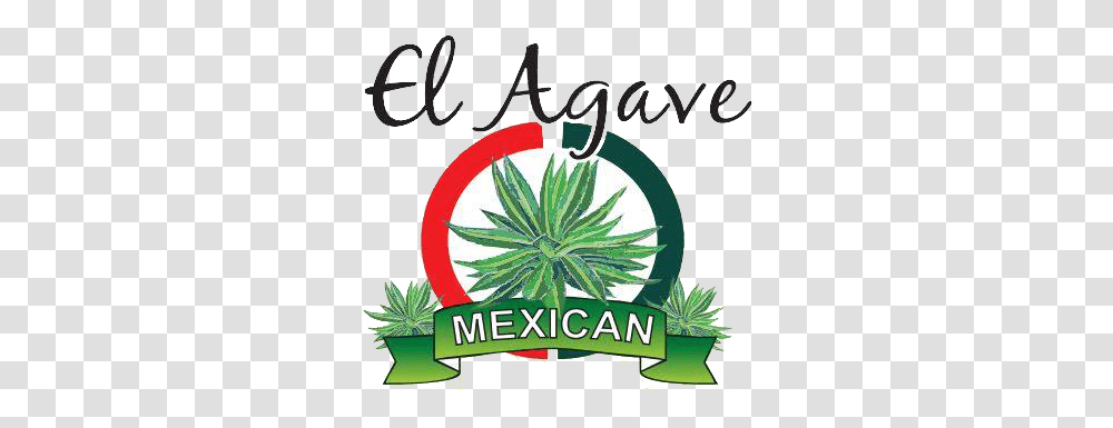 El Agave Mexican Restaurant Home, Plant, Flyer, Poster, Paper Transparent Png