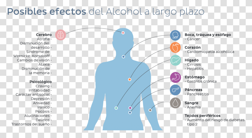 El Consumo De Alcohol Y Drogas Aumenta En Verano Cocane, Plot, Diagram, Water, Outdoors Transparent Png