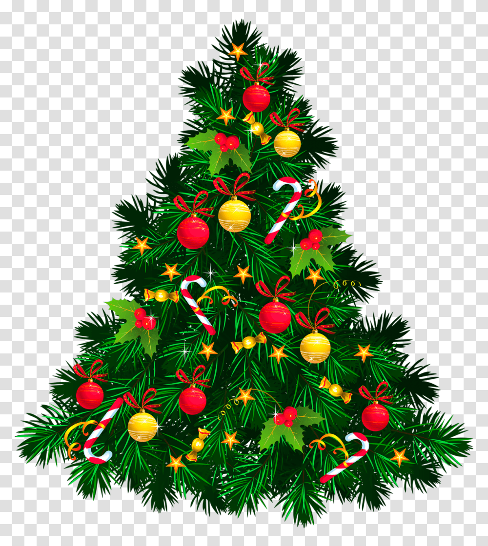 El De Navidad V Mj Duijasi Paz De Selva Verde, Christmas Tree, Ornament, Plant, Bush Transparent Png