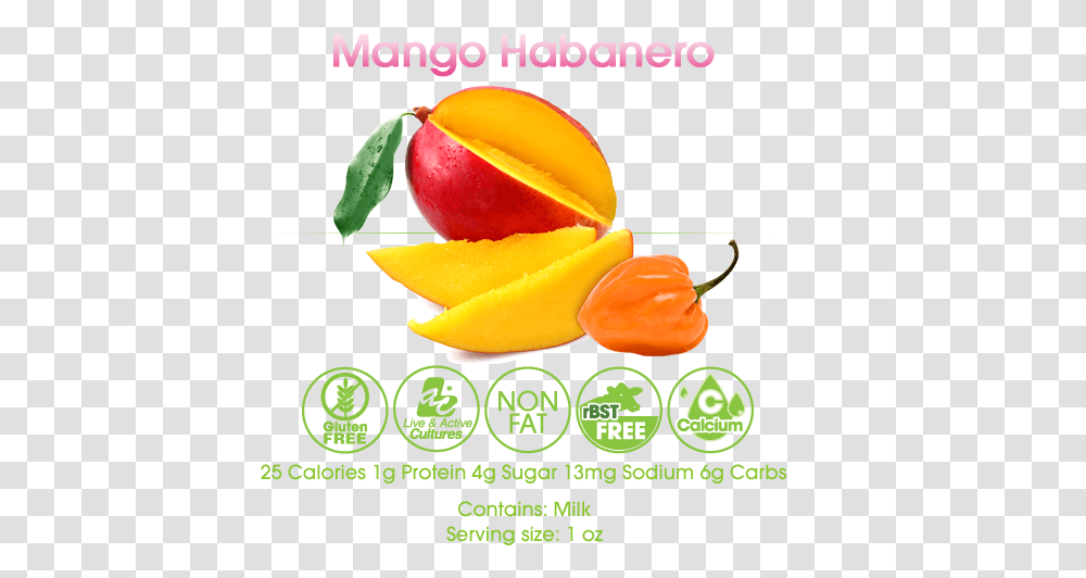 El Mango Y Sus Beneficios, Plant, Advertisement, Flyer, Poster Transparent Png
