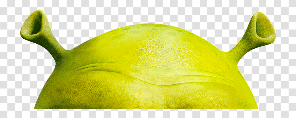 El Show - Shrek Musical Shrek Desktop, Plant, Fruit, Food, Citrus Fruit Transparent Png