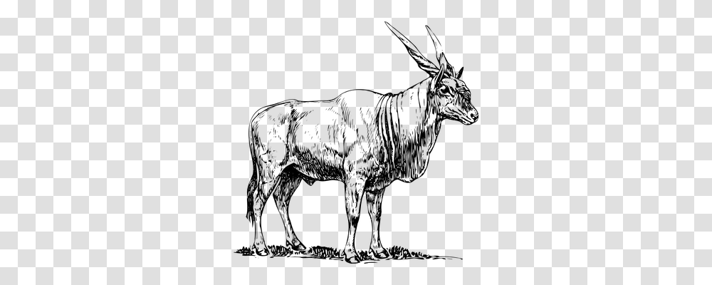 Eland Animals, Gray, World Of Warcraft Transparent Png