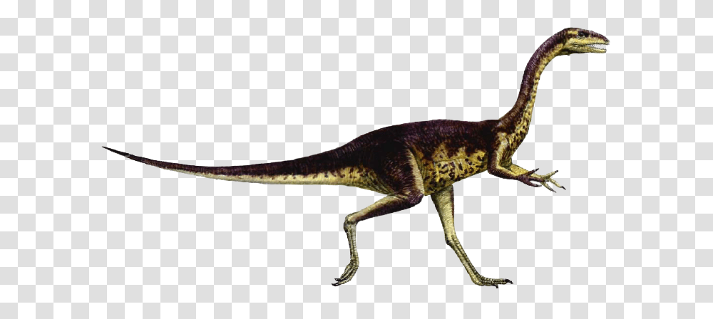 Elaphrosaurus Dinosaur, Fantasy, Reptile, Animal, Lizard Transparent Png