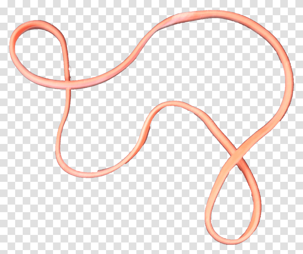 Elastic Band Slender Blind Snake, Animal, Sunglasses, Accessories, Accessory Transparent Png