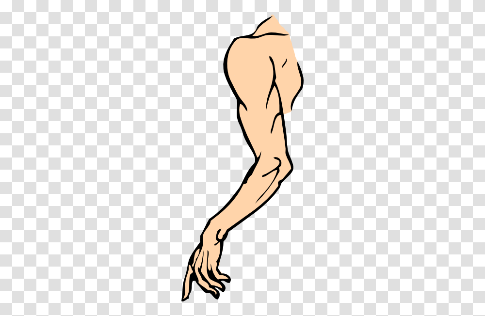 Elbow, Hand, Arm, Person, Human Transparent Png