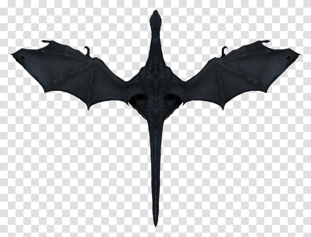 Elder Scrolls Dragon Top View, Bat, Wildlife, Mammal Transparent Png