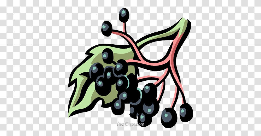 Elderberry Royalty Free Vector Clip Art Illustration, Plant, Fruit, Food, Grapes Transparent Png