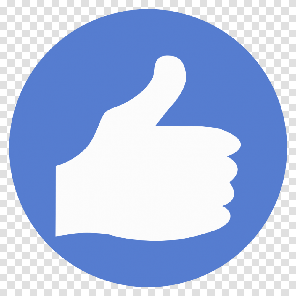 Election Thumbs Up Icon Circle Blue Iconset Circle Thumbs Up Icon, Hand, Outdoors, Nature, Balloon Transparent Png