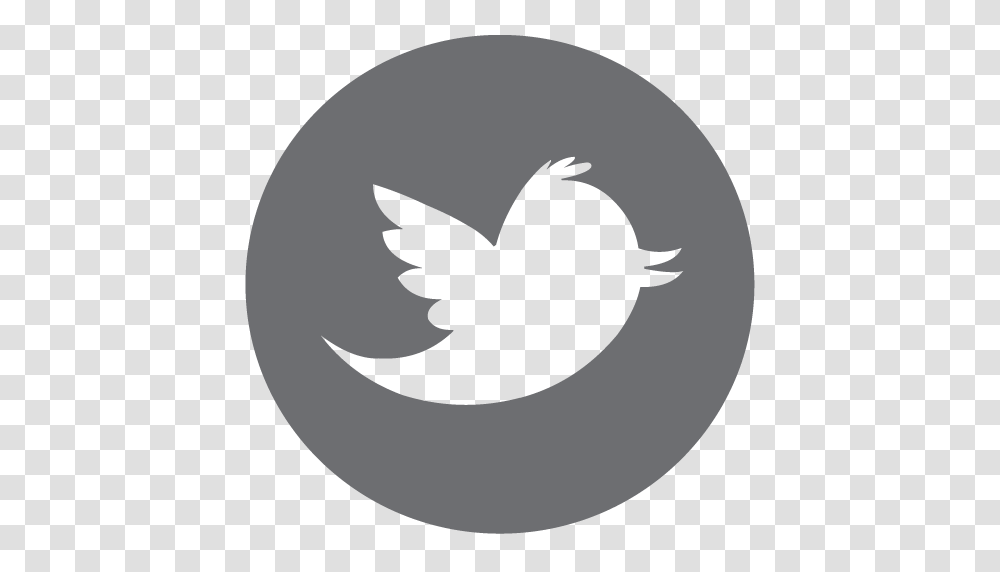 Electorlysis Nyc Twitter Icon, Bird, Animal Transparent Png