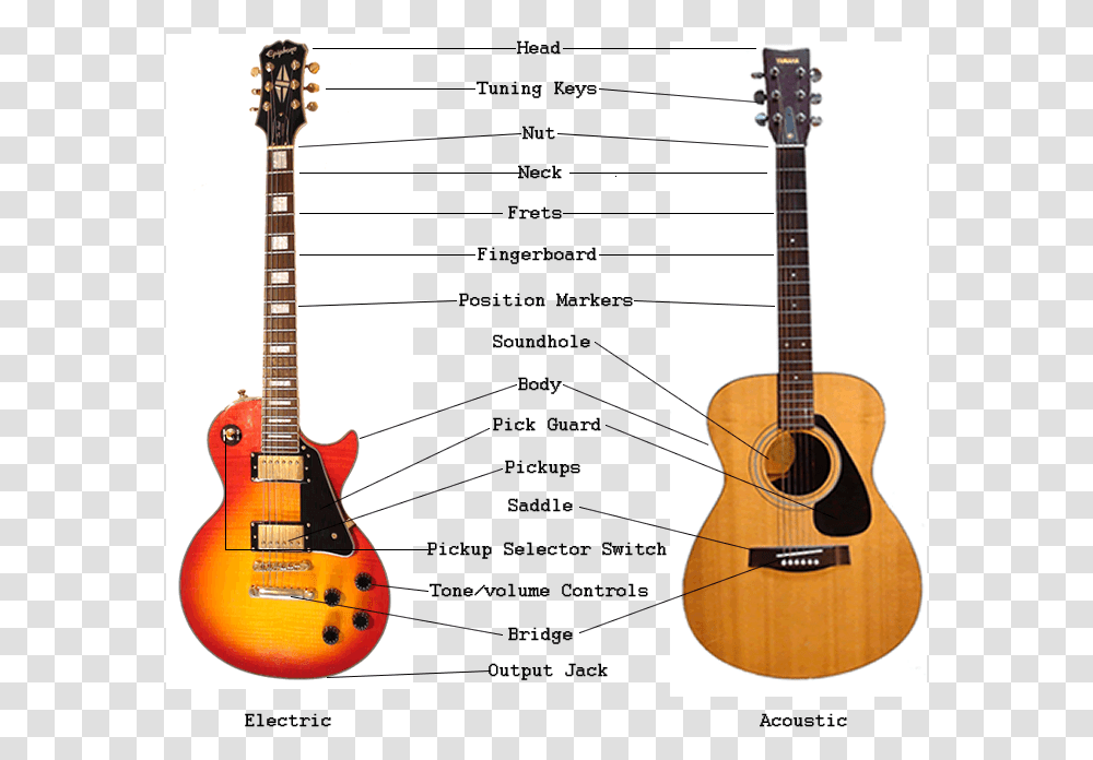 Electric And Acoustic Guitar Parts Anatomy Learn Guitar, Leisure Activities, Musical Instrument, Bass Guitar, Electric Guitar Transparent Png