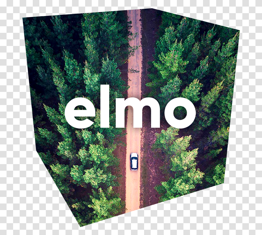 Electric Car Subscription Flexible And Affordable Mavic Pro Forest Photo Tip, Vegetation, Plant, Tree, Bush Transparent Png