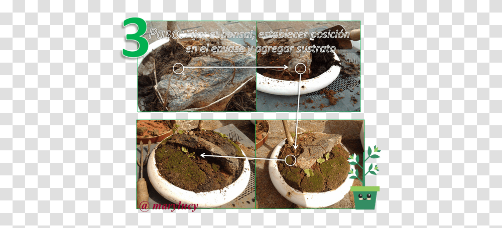 Electric Eel, Vegetation, Plant, Land, Outdoors Transparent Png