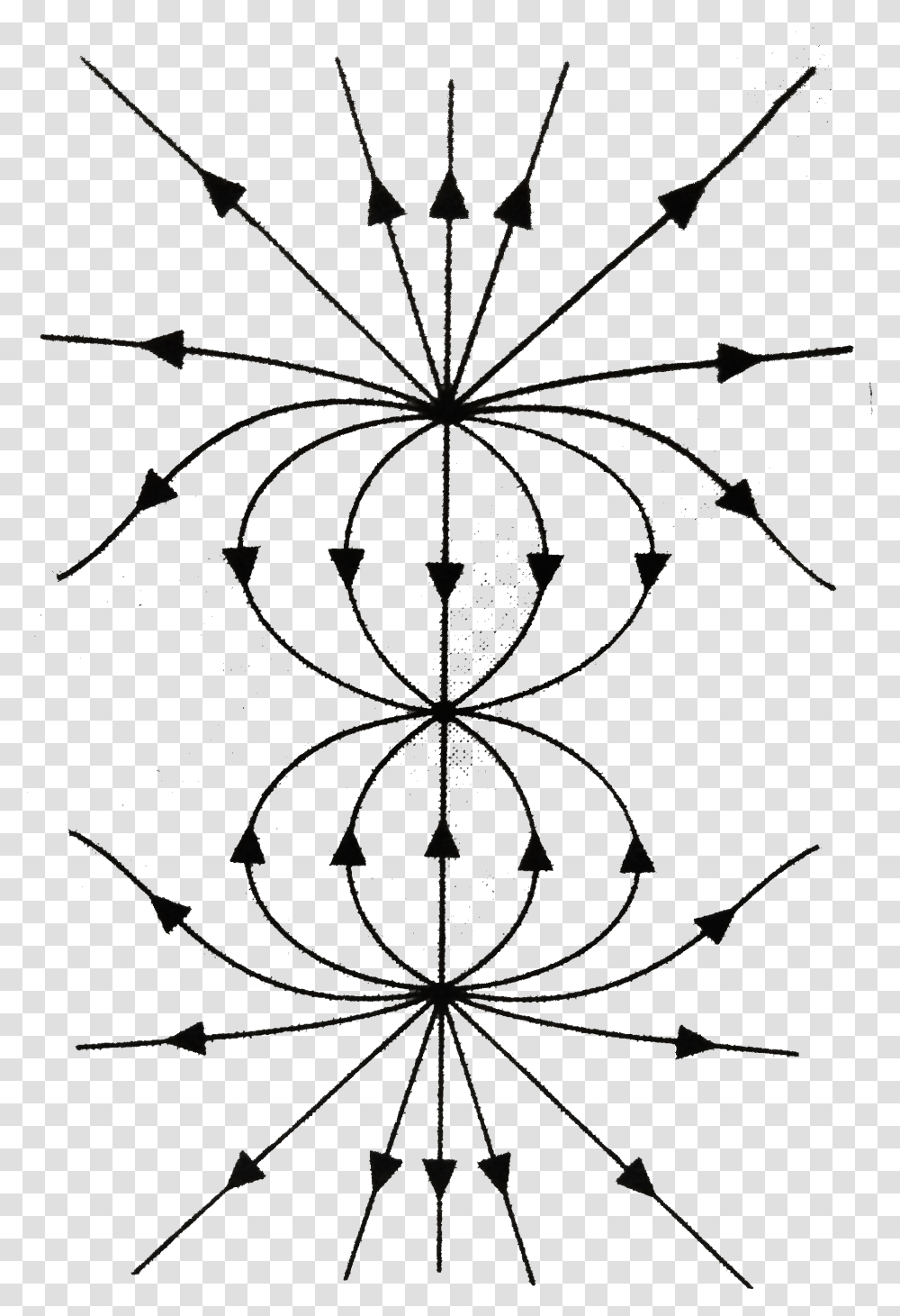 Electric Field Lines Three Charges, Floral Design, Pattern Transparent Png