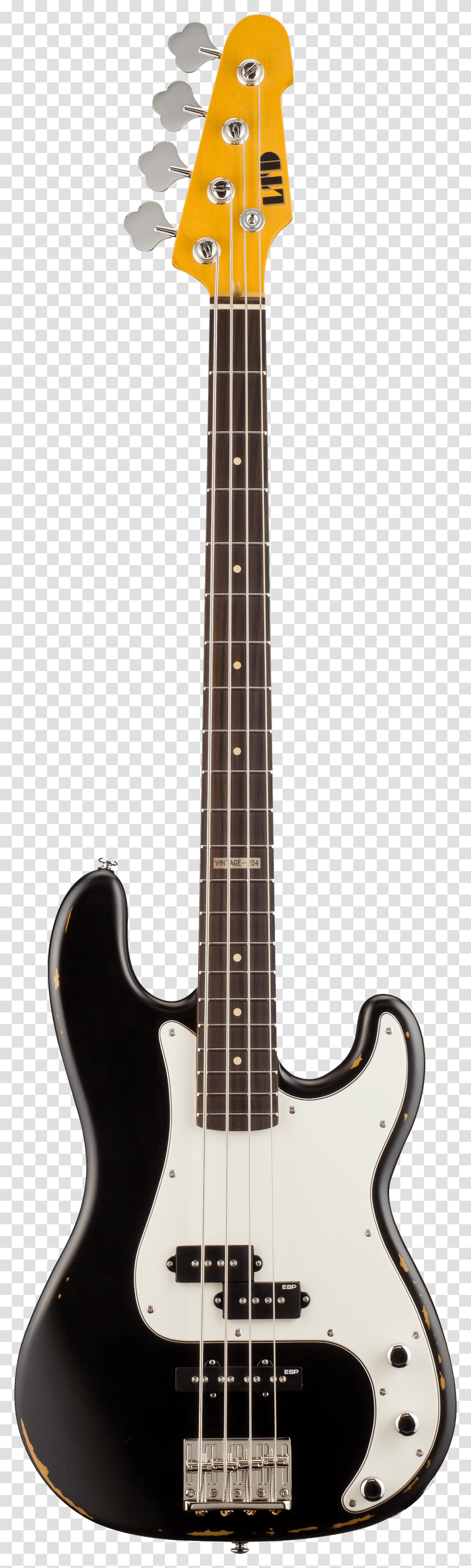 Electric Guitar Image, Music, Bass Guitar, Leisure Activities, Musical Instrument Transparent Png