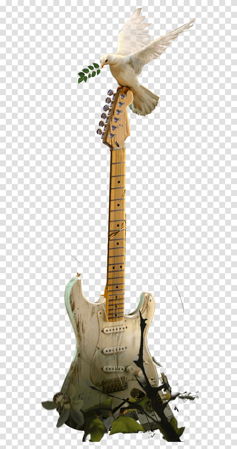 Electric Guitar, Leisure Activities, Musical Instrument, Bass Guitar, Bird Transparent Png