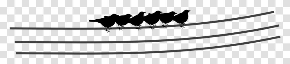 Electric Lines Birds Sitting Silhouettes Silhouette, Arrow, Weapon, Leisure Activities Transparent Png