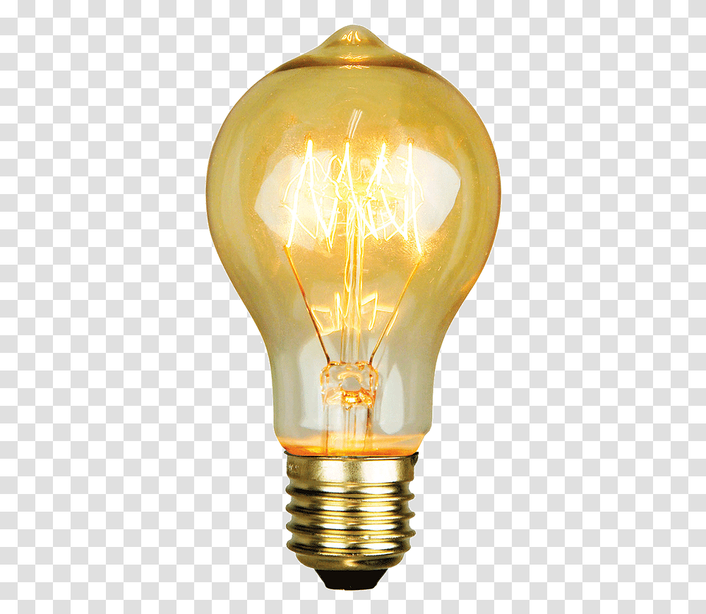 Electrical Filament, Light, Lamp, Lightbulb Transparent Png