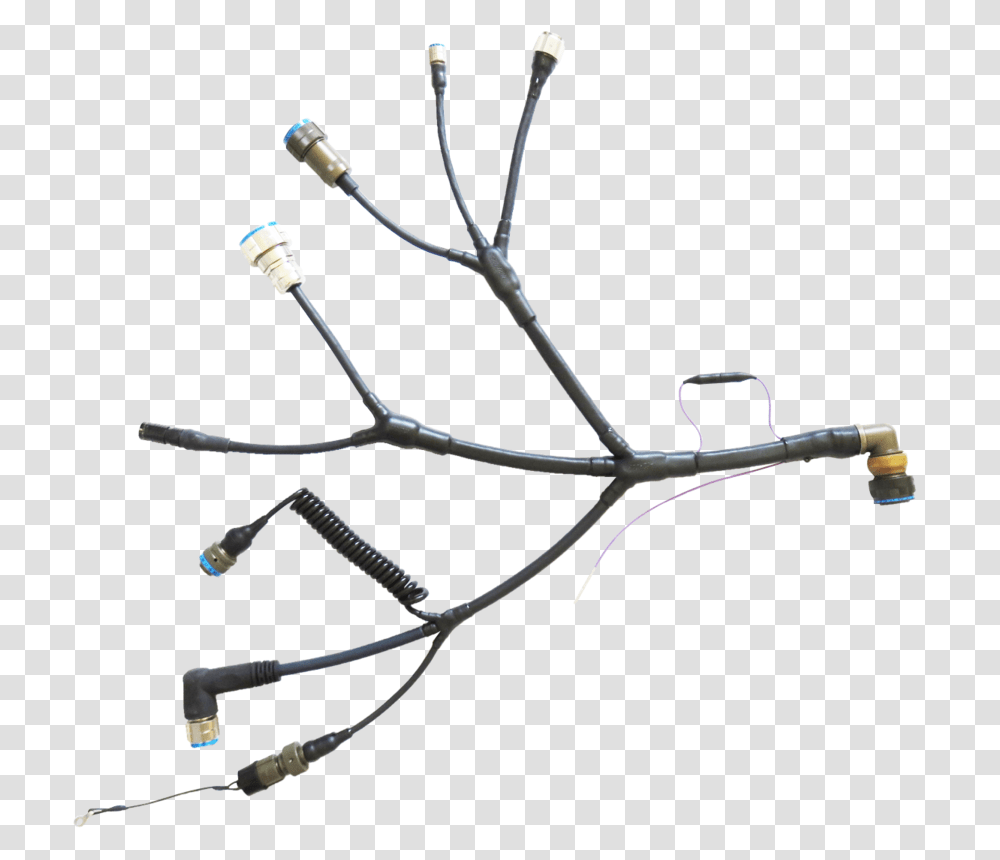 Electrical Wires Twig, Bow, Plant, Flower, Blossom Transparent Png
