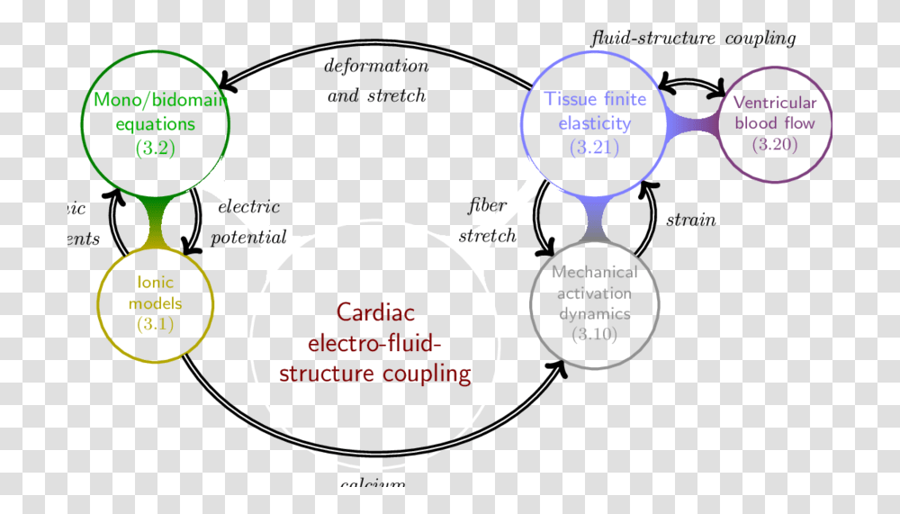 Electro Pentacle, Plot, Diagram, Word Transparent Png