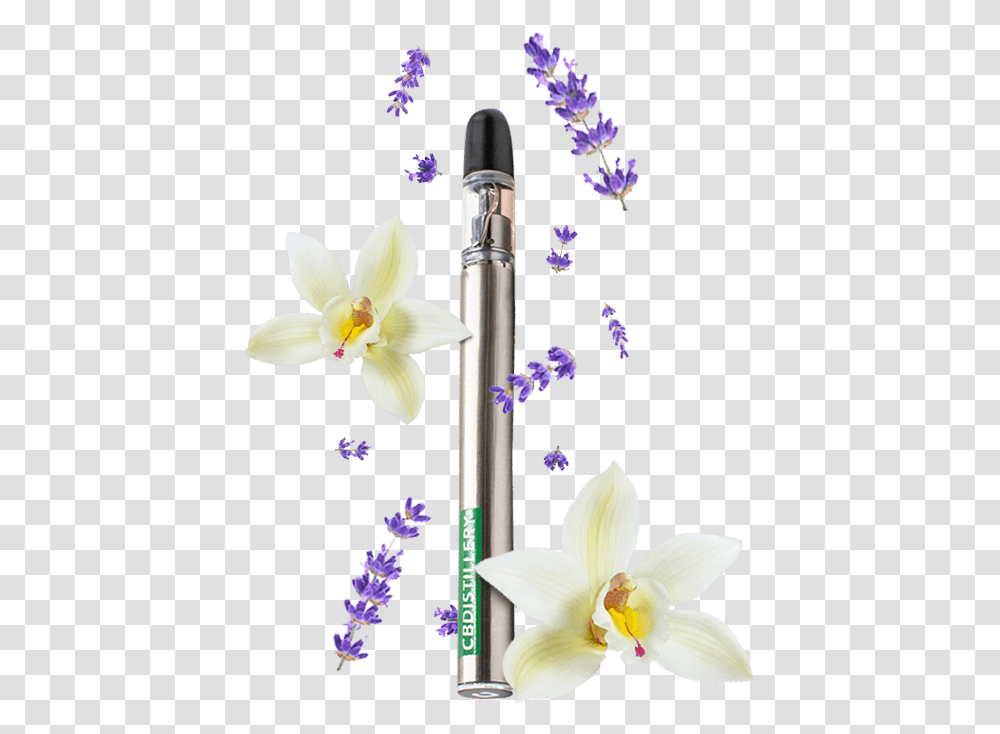 Electronic Cigarette, Plant, Flower, Blossom, Petal Transparent Png