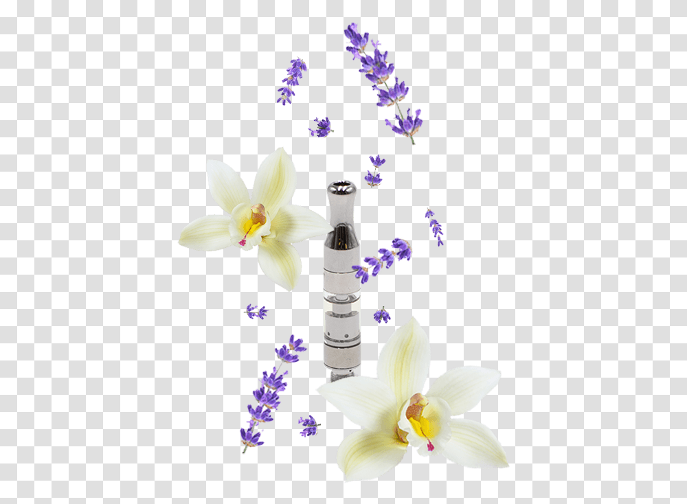 Electronic Cigarette, Plant, Flower, Petal, Bottle Transparent Png