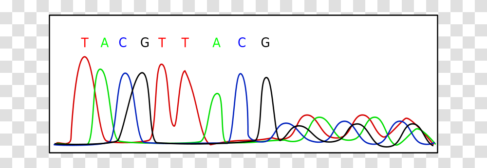 Electropherogram, Technology, Plot, Diagram Transparent Png