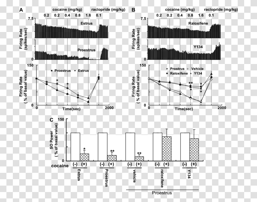 Electrophysiological Effect Of Cocaine Plot, Scoreboard, Plan, Diagram, Text Transparent Png