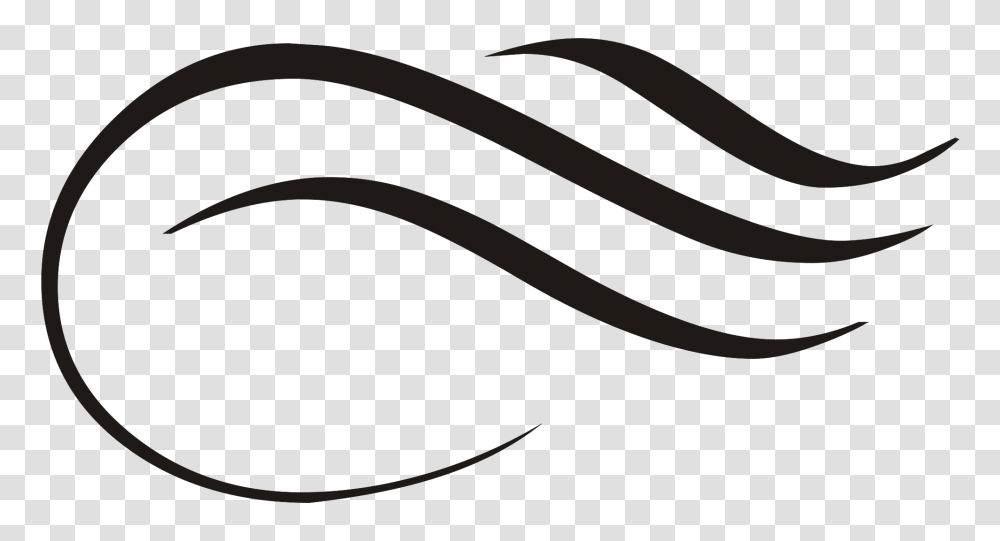 Elegant Black Curved Line, Spiral Transparent Png