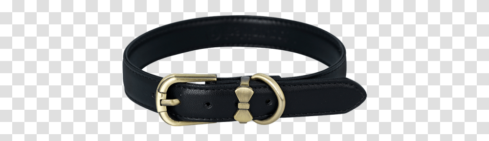 Elegant Dog Collar Background Hd 48109 Dog Collar Background, Belt, Accessories, Accessory, Buckle Transparent Png