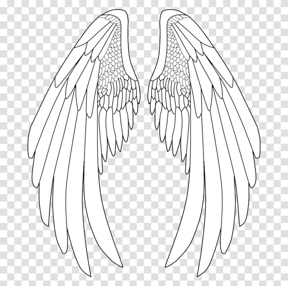Elegant Drawing Angel Anime Angel Wings Drawing, Animal, Bird, Archangel Transparent Png