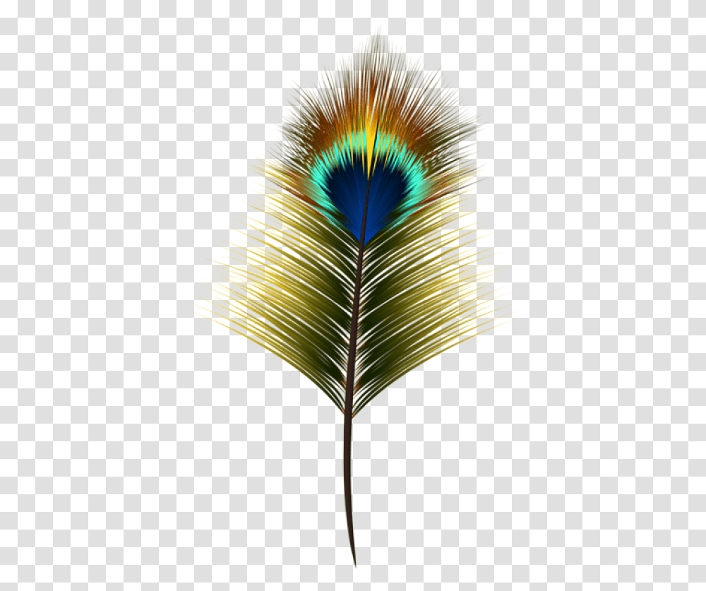 Elegant Heart Clipart Peacock Feather Clipart, Ornament, Pattern, Fractal, Light Transparent Png