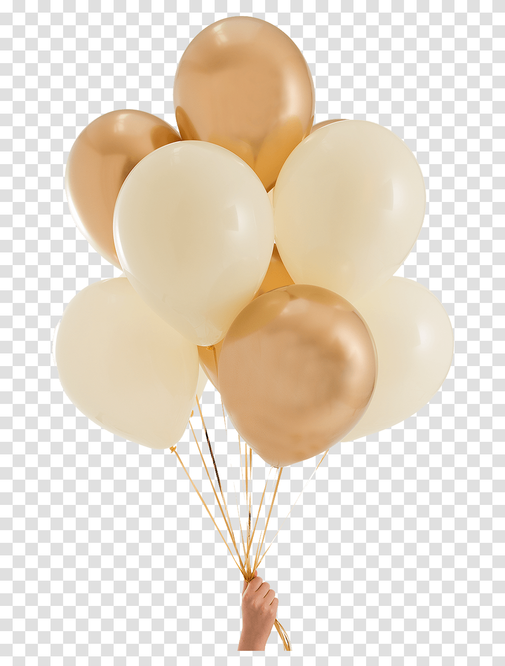 Elegant Ivory Gold Party Balloons Gold Party Balloons, Person, Human Transparent Png