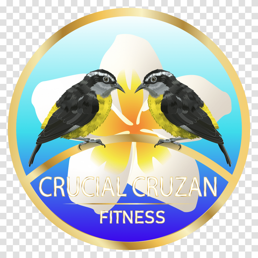 Elegant Playful Illustration Design For Herbalife Nutrition Bird, Animal, Logo, Symbol, Jay Transparent Png