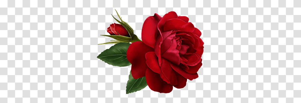Elegant Red Rose Clipart Vintage Flower Clip Art Vintage Rose, Plant, Blossom, Petal Transparent Png