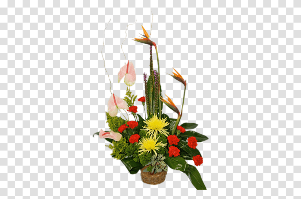 Elegant Tropical Lovely, Plant, Flower, Blossom, Graphics Transparent Png