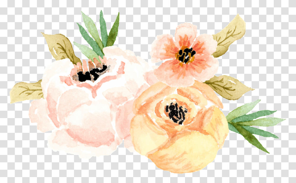 Elegant Watercolor Flower Cartoon Watercolor Painting, Plant, Petal, Honey Bee, Carnation Transparent Png