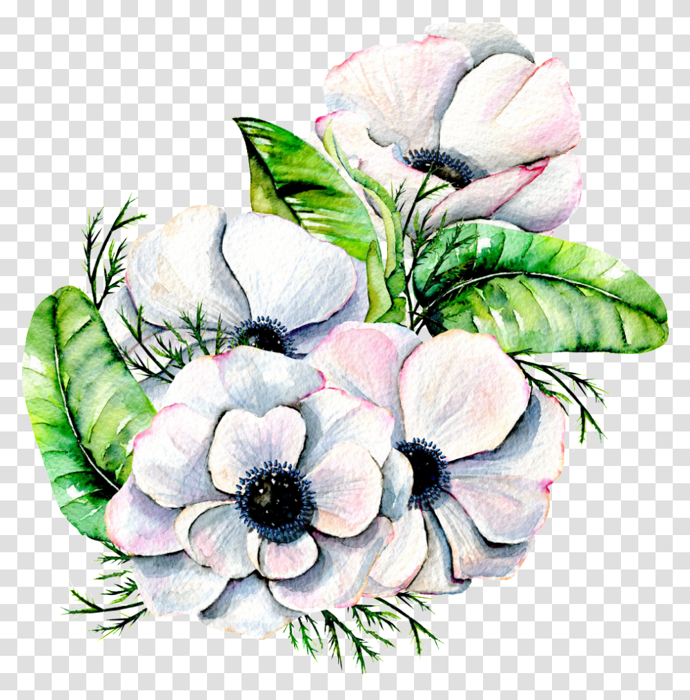 Elegant White Flower Anemone Watercolor White Flower, Plant, Blossom, Floral Design, Pattern Transparent Png
